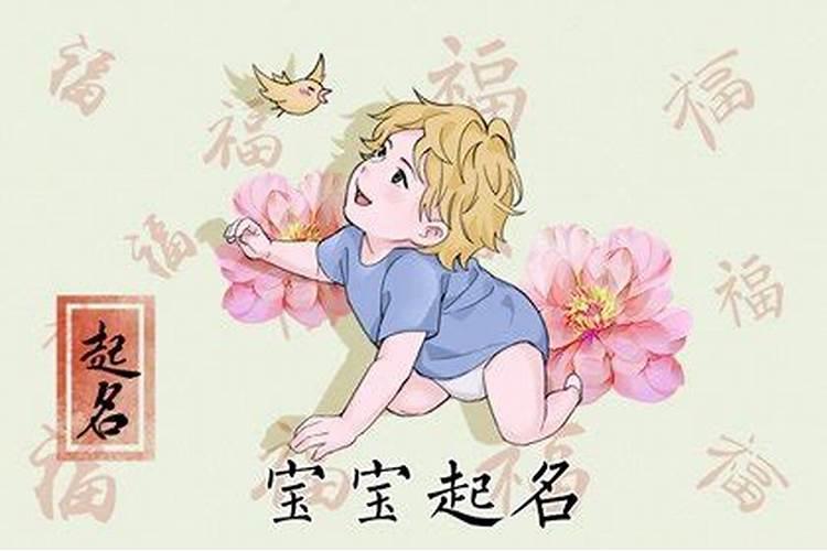1971年2025年属猪人的全年运势