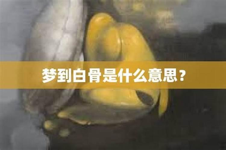 冬至是按阳历算还是按阴历算