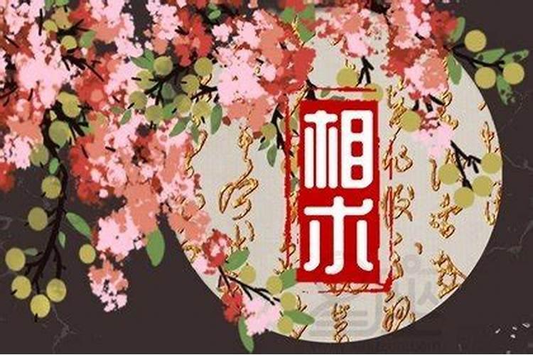 童子命是真是假