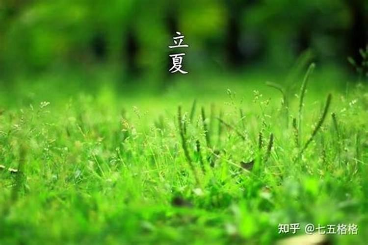 男的本命年能结婚吗有什么说法