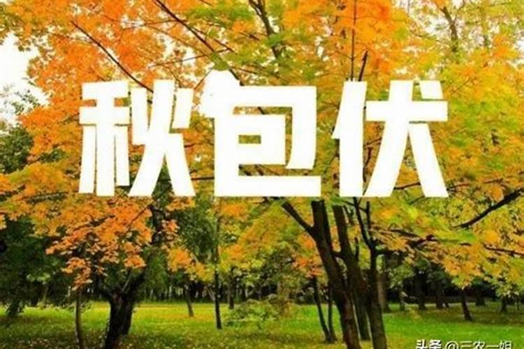 算命运气不好能不能破,真正的算命不会给你化解的