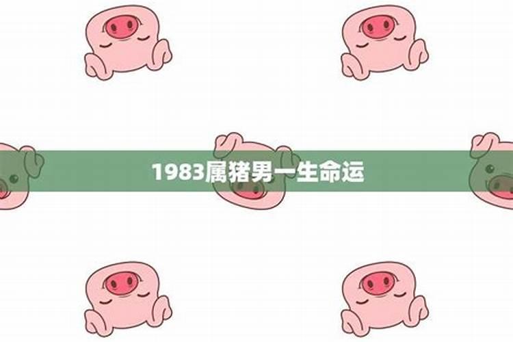 属羊最命苦的出生月份
