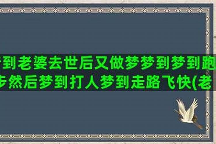 属兔的是什么星座1987年三月八号阳历生人