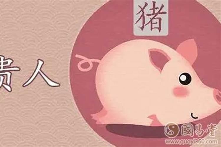 属狗人的婚姻与命运,猪年之属狗人运势分析