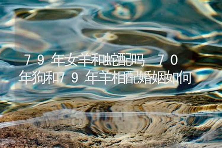 78年的马和79的羊婚姻如何 六合婚姻合财合子女？