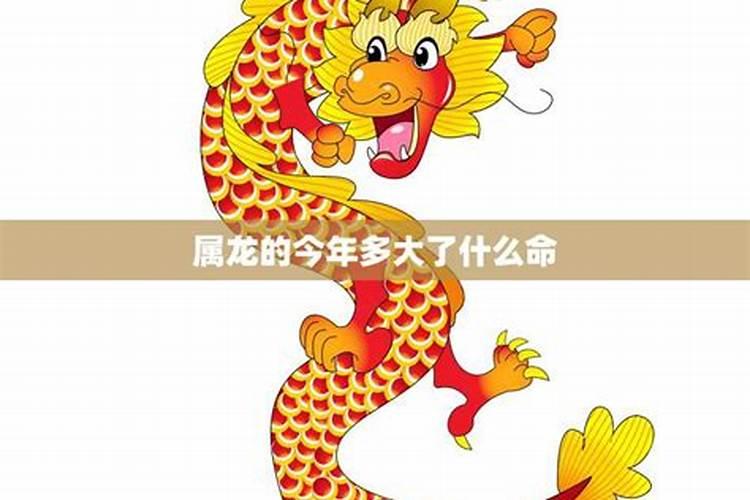 太岁方位如何布局