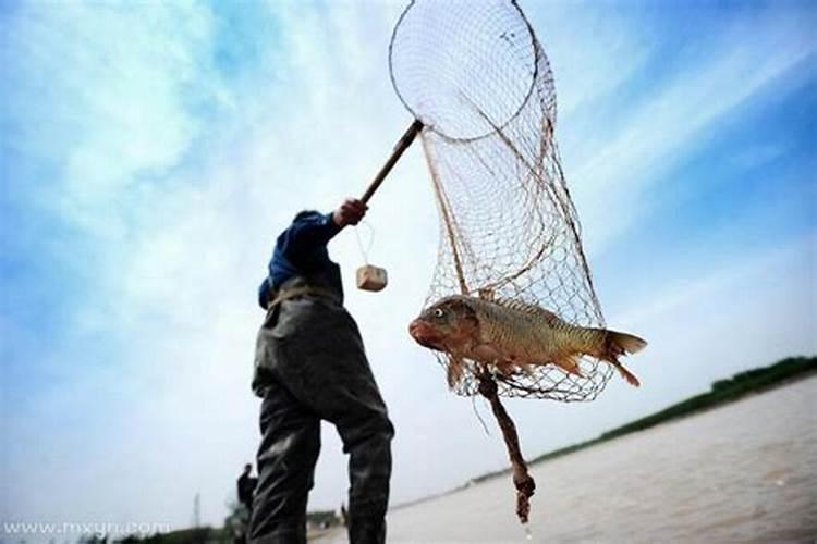 11月3日是什么节日？