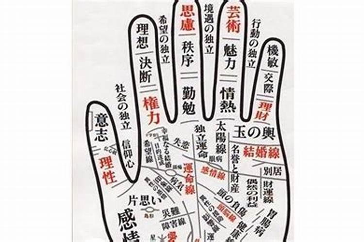看手相算命准吗
