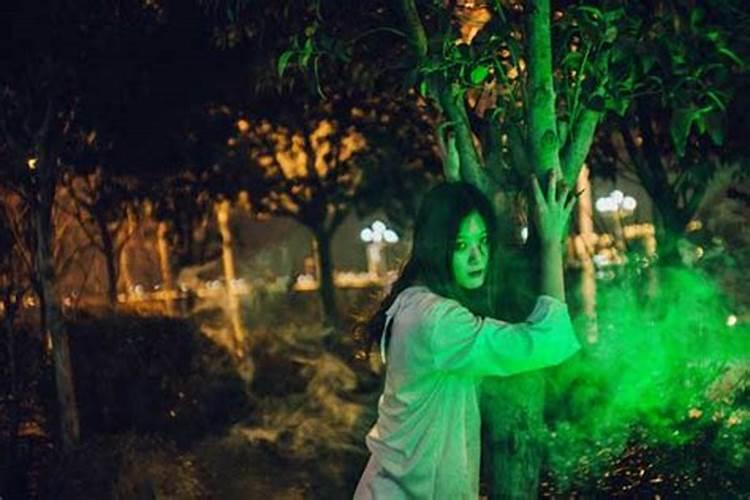 一年可以扫墓几次？