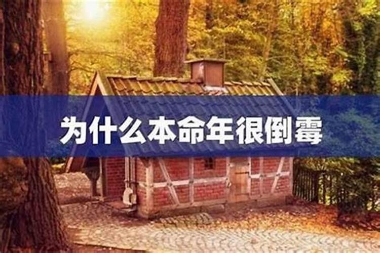 73属牛48岁大运 本命年值太岁运气反而好？