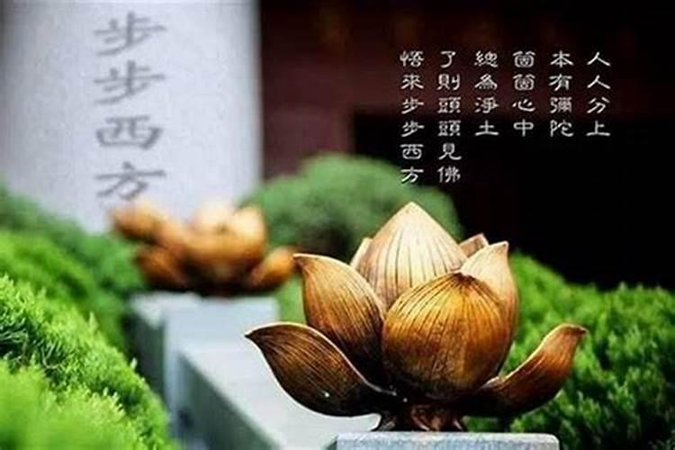 通过面相五官看人生运势吉凶、看相看五官