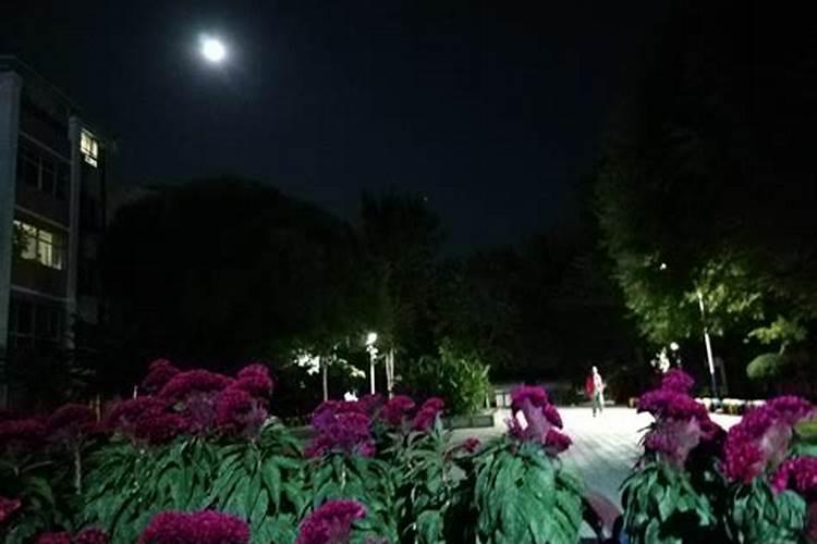 合肥十大适合中秋节旅游景点 合肥中秋节去哪玩好 合肥八月十五好玩的...
