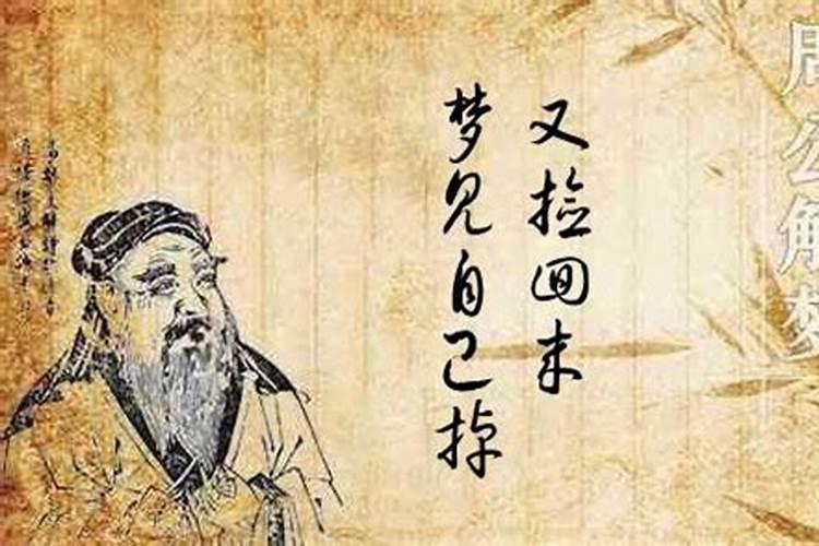 10月4日,10月7日,11月4日哪天适合结婚。急急急。。。