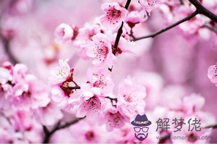 怎样化解桃花煞