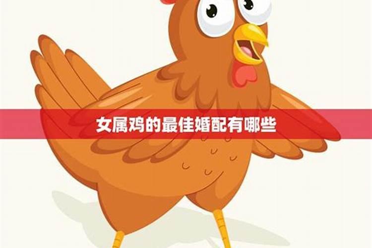 女属鸡的和什么属相最配