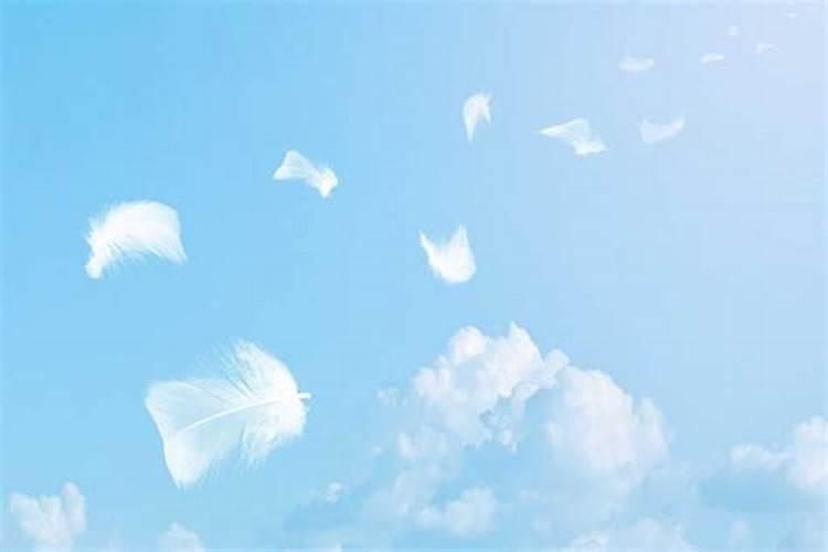 生肖虎2025年运势 属虎2025年运势及运程