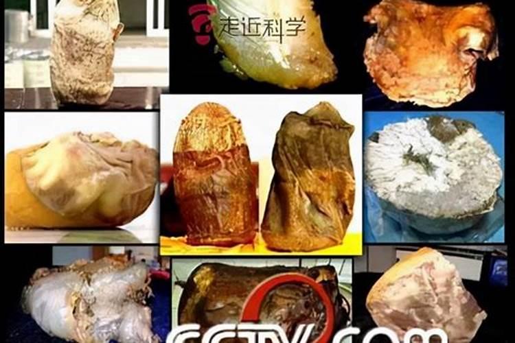 属蛇人2025年全年运势