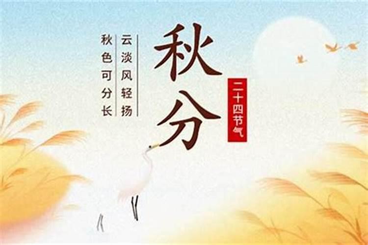 87年2025年属兔人的全年运势