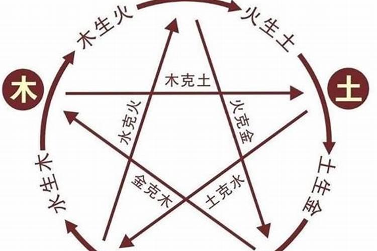 87年属兔农历四月二十一早上七点多出生一生命运如何
