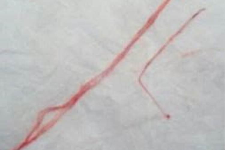 财运不好怎么转运 财运不好转运方法