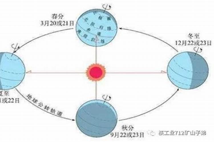 梦见老板娘来家里坐客的预兆