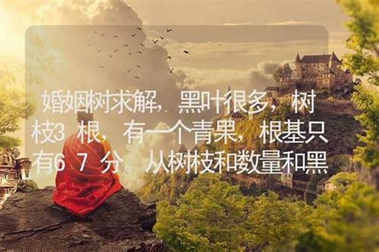 除夕和春节哪个在前