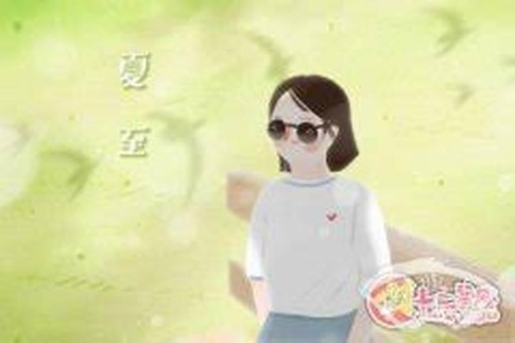 夏至生的男孩好不好
