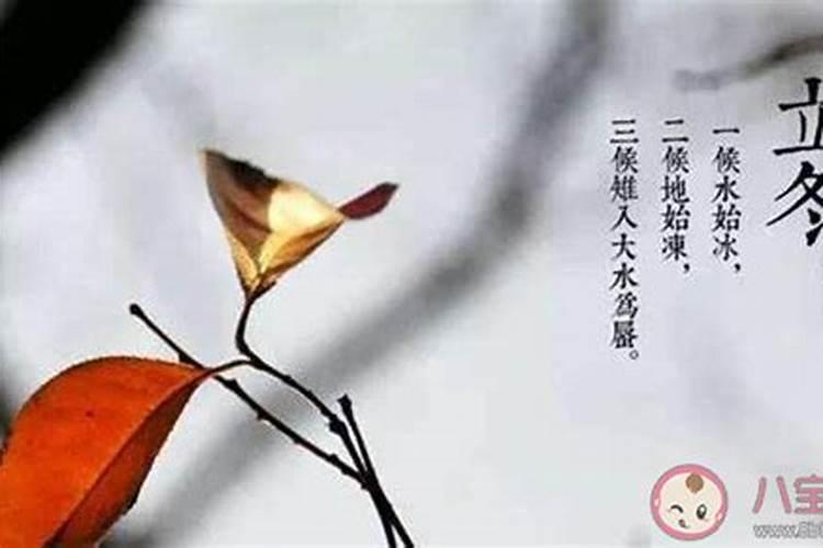 立冬交运注意什么