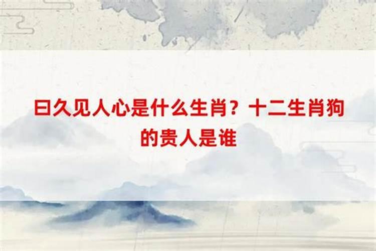 小人指什么生肖