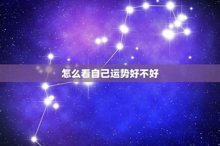 1979年属羊的幸运数字和颜色,1979年属羊人的吉祥数字