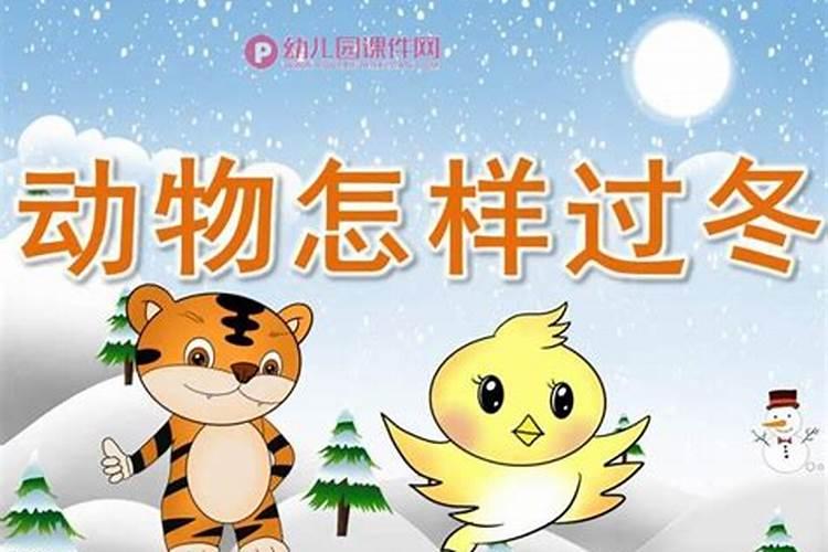 冬天的动物和植物有哪些变化？