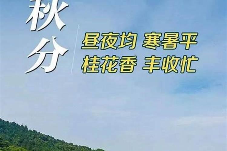 鸡狗在一起谁克谁