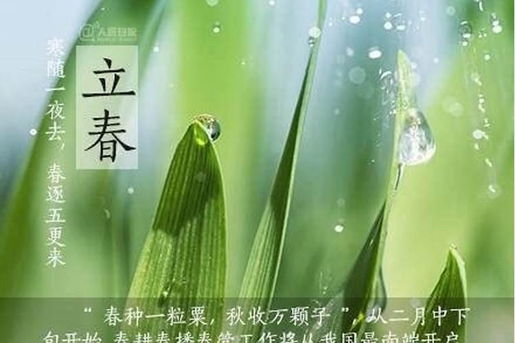 闽南立春时桃花长蓓蕾了吗
