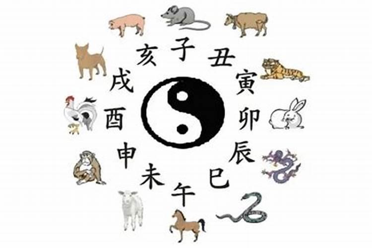 七月属蛇运势如何
