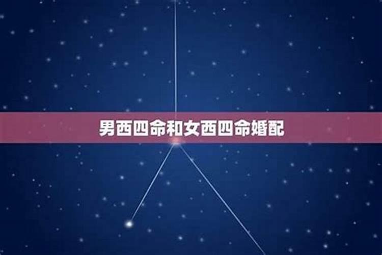过年炒几个菜寓意好