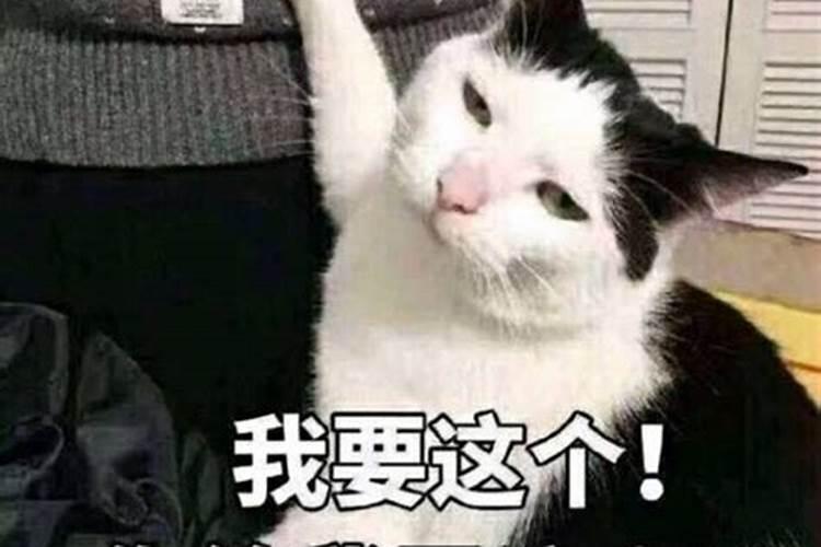 2025年蛇年犯太岁的四个属相怎么化解