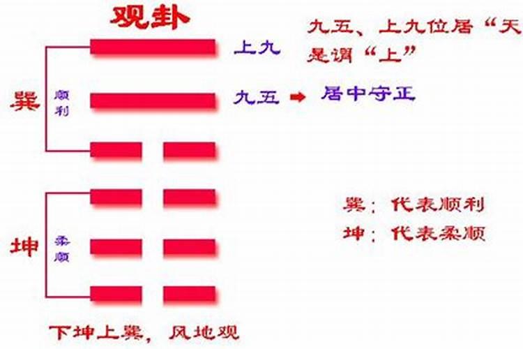 农历4月出生的属狗人运程