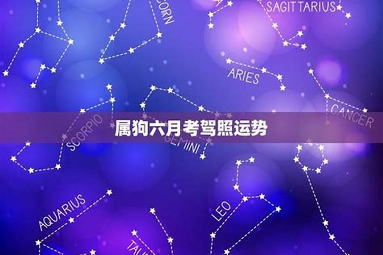 属狗人2025年全年运势运程免费 属狗2025年每月运势及运程详解