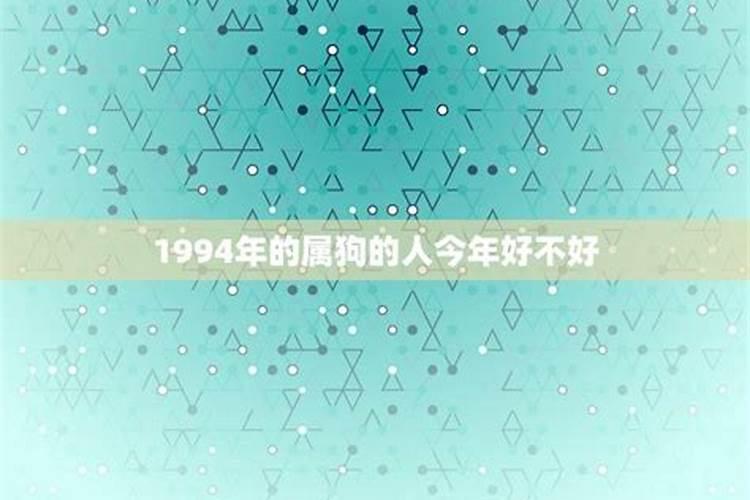 1994年属狗今年的姻缘