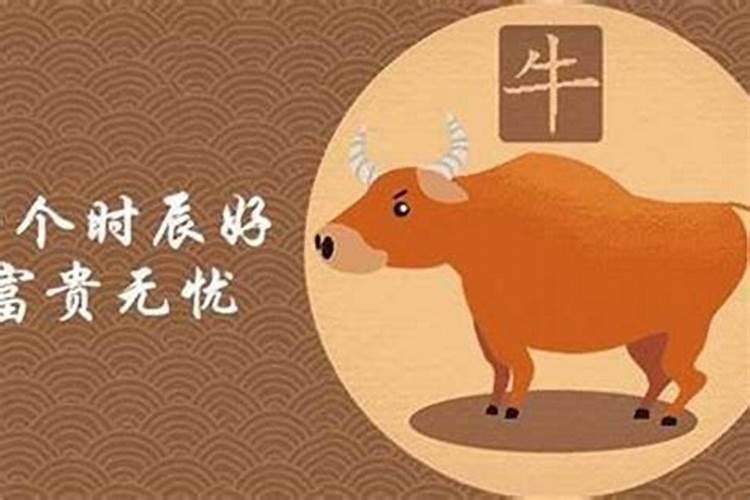 属牛的人在子时出生