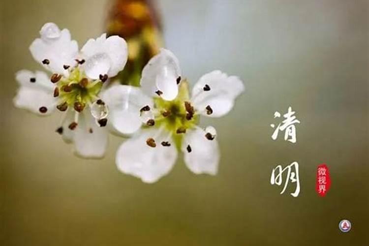 四月几号是清明