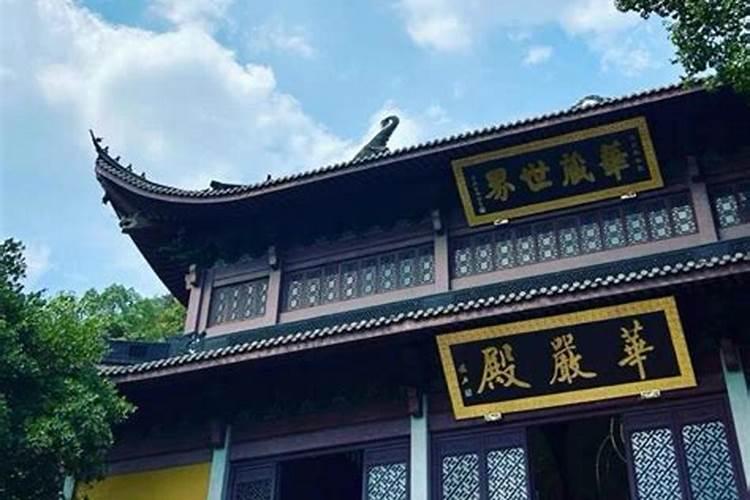 梦见小黄狗咬自己的预兆