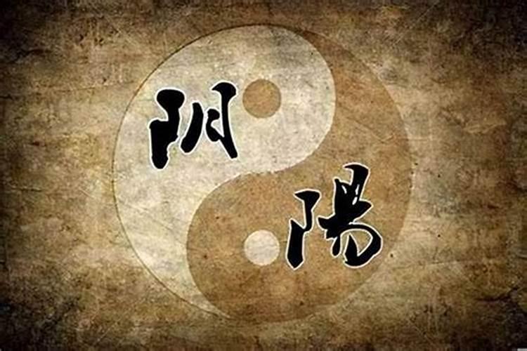 1980年2025年属猴的运势详解