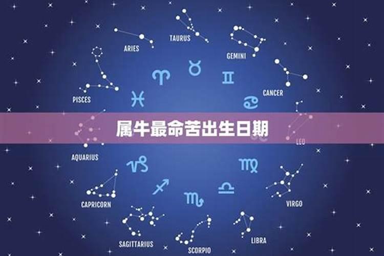 属牛人最命苦的出生日