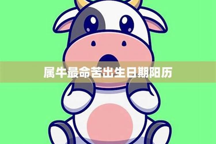 属牛人最苦命的出生日期属牛最命苦出生日期是什么时候