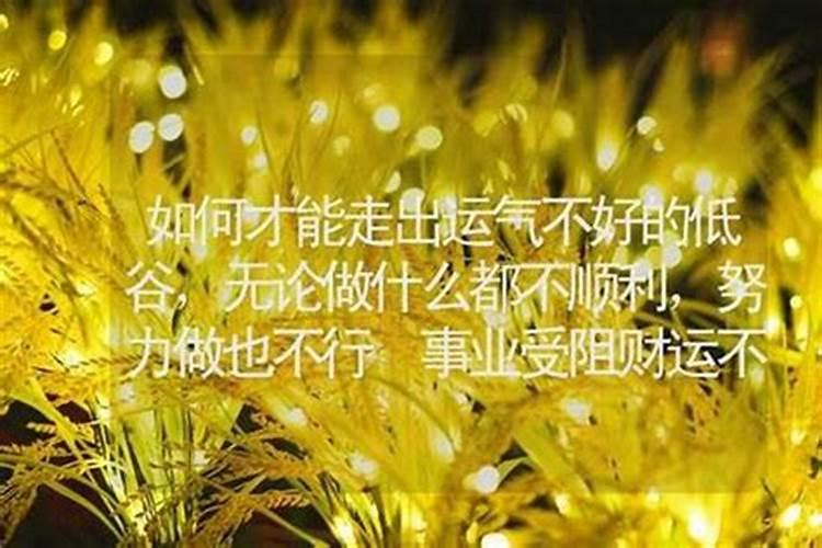 事业运不好但财运好什么意思 并不相辅相成？