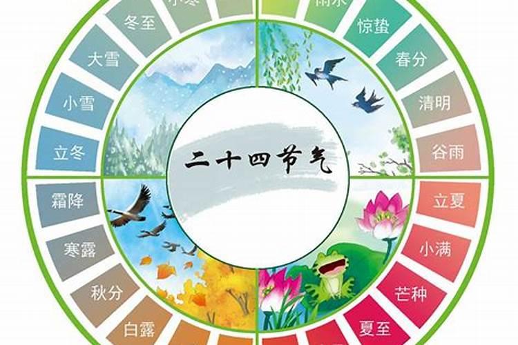 属猪之年命运解析与运势展望