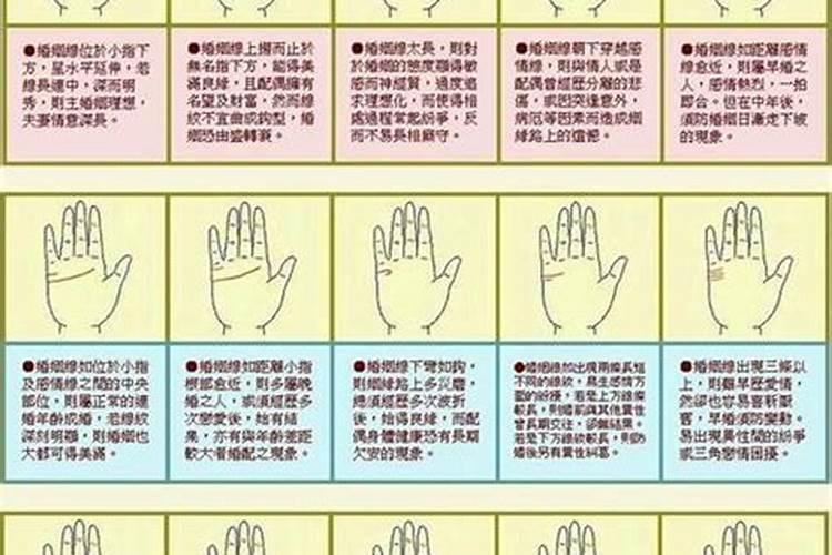 梦见很大的乌龟爬行的预兆