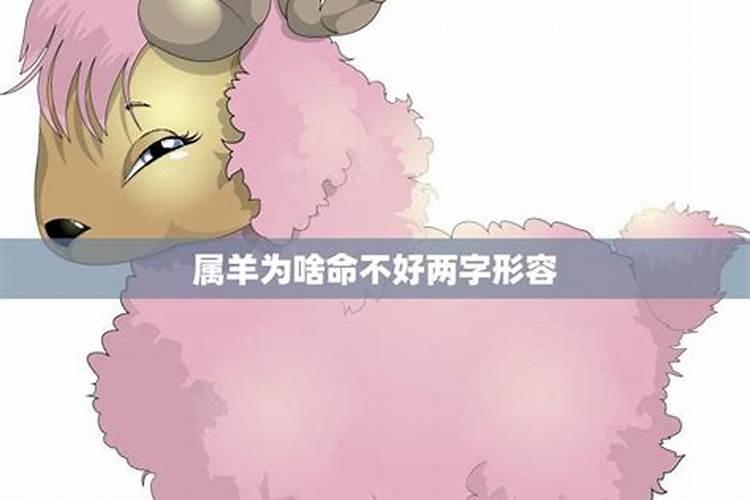 农历2003年12月18日与公历哪年哪月哪日相对应