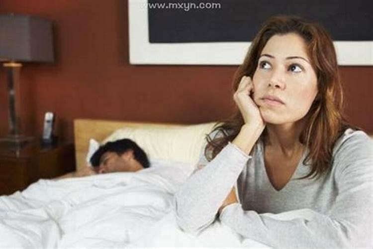 尖耳朵与圆耳朵有什么不同,命运又如何呢？